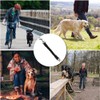 Shock Absorber for Dogs, Bungee Dog Leash Extension with Bungee