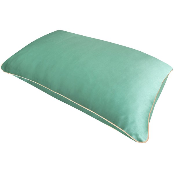 Holistic Silk Pure Silk Pillowcase, Color Jade | Size 1 piece