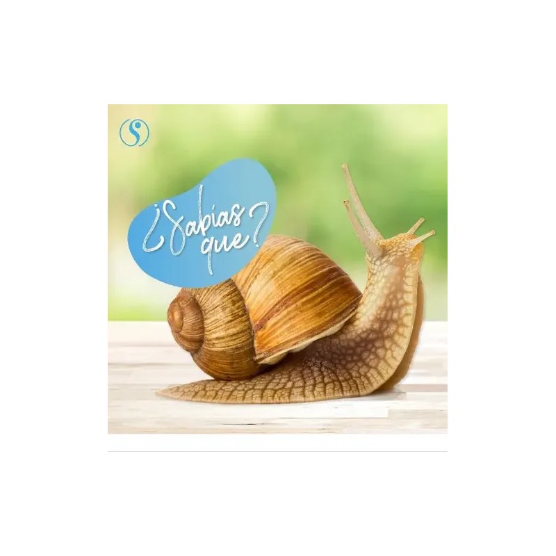 Crema Facial De Baba De Caracol Facial Sheló Nabel 250