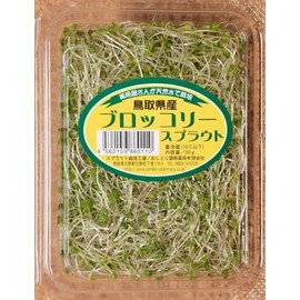 Sprout, 6 Types, 12 Pack Set