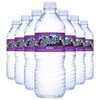 Fruit2o Grape Flavored Water, 16.9 fl oz Plastic Bottles (12