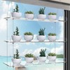 ZerzSemp ZerzSemp 3-Tier Hanging Acrylic Plant Shelves for Windows, Each Tier 16 Inch Long, Height Adjustable Plant Stand, Clear Hanging Plant Stand for Indoor Windows, Grow Herbs, Succulents, Flower