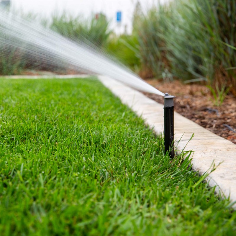 Hunter Industries RTL2001PROS04 Hunter Pro 4" Pop-up Sprinkler Spray, Black