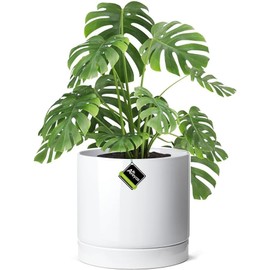 Aveyas 10 inch Ceramic Planter Pot with Drainage Hole and Saucer - Suitable for Indoor and Outdoor Use, Modern Planters for House Garden Flower Tree Snake Monstera Plants (10", Glossy White)