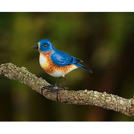 Wonders-Shop-USA Metal Songbird Bird Indoor/Outdoor Decor for Garden Bluebird