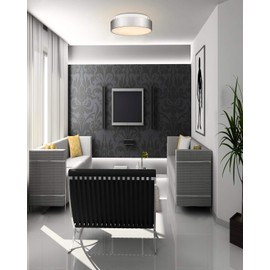 Autelo 12" Flush Mount Ceiling Light Fixture, Frosted Glass Shade 2-Light Close to Ceiling Light Fixture in Brushed Nickel Finish, for Living Room Hallway Bedroom C3312 ST