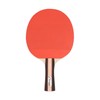 Champion Sports PN6 Table Tennis Paddle