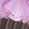 Dressy Daisy Princess Ballet Tutu Dress Fancy Dance Wear Ballerina