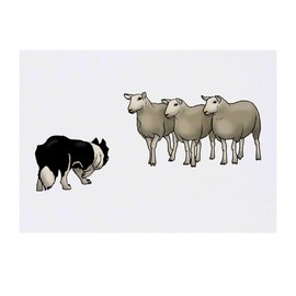 'Dog Herding Sheep' Temporary Tattoo - Water Resistant, Skin-Safe, Non-Toxic Transfer (TO00050494)