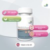 VitaThrive® Rapid Absorption Magnesium Bisglycinate 1,000mg (100mg Elemental Vegan Magnesium)