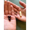 NeuEve Feminine Moisture Support Supplements with Sea Buckthorn Oil, Omega-7