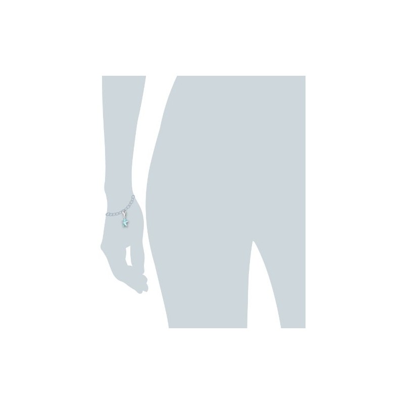 Heartbreaker Charms of Heartbreaker HB 421 Silver Charm