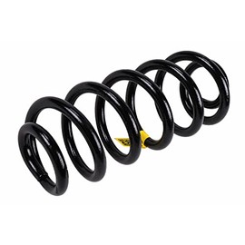 GM Parts 23290925 Rear Coil Spring