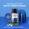 LIFE 360+ Magnesium Blend | Óxido, Glicinato, Gluconato y Citrato|