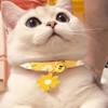 4Pcs Unique Daisy Cat Collar Lovely Comfortable Quick Release Kitten