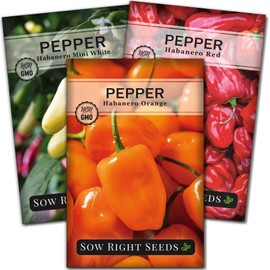 Sow Right Seeds - Habanero Pepper Seed for Planting - Orange, Mini White, and Red Habanero Seeds - Non-GMO Heirloom Packets with Instructions to Plant and Grow a Vegetable Garden - Super Hot
