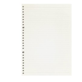 Zelten 2 Pack B5 120 Sheets/240 Pages Lined Loose Leaf Punched Paper Refills Paper for 26 Hole Binder Personal Organizer Diary Notebook Refillable Planner