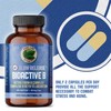 Pure Lab Vitamin | Slow Release Bioactive B Complex |