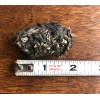 Pellets 10 MEDIUM OWL PELLETS - Sterilized - Nature study