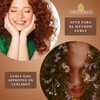 Beauty ritual for hair with camellia oil contains a solid