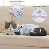 Yeapeeto Cat Recovery Suit 2 Packs After Surgery Bodysuit for