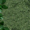 Healthy Future Freeze Dried Dill 100% Natural Herb Gluten Free