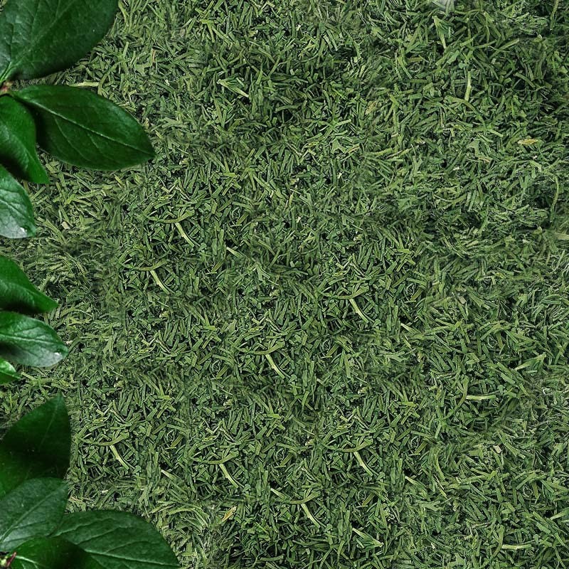 Healthy Future Freeze Dried Dill 100% Natural Herb Gluten Free