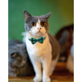 Joytale Upgraded Cat Collar with Bells, Breakaway Cat Collars with Bow Tie, 1 Pack Girl Boy Safety Plaid Kitten Collars, Green