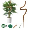 HUYUE Monstera Moss Rod for Climbing Plants 125 cm
