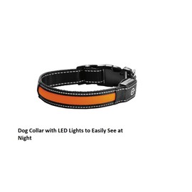 BARGAIN4ALL Reflective Nylon Dog Collar – with Safety Buckle – Adjustable Padded Breathable – Soft Neoprene – Medium Size (Orange)