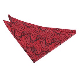 DQT Men Paisley Floral Wedding Handkerchief Pocket Square Black & Red