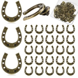 Yinkin 50 Pcs Cowboy Western Lapel Pin Men Women Lucky Horseshoe Lapel Pin Vintage Metal Horseshoe Cowgirl Backpack Party (Bronze)