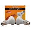 Sundew 2-Pack Reptile Heat Bulb, Dimmable Basking Spot Lamp for