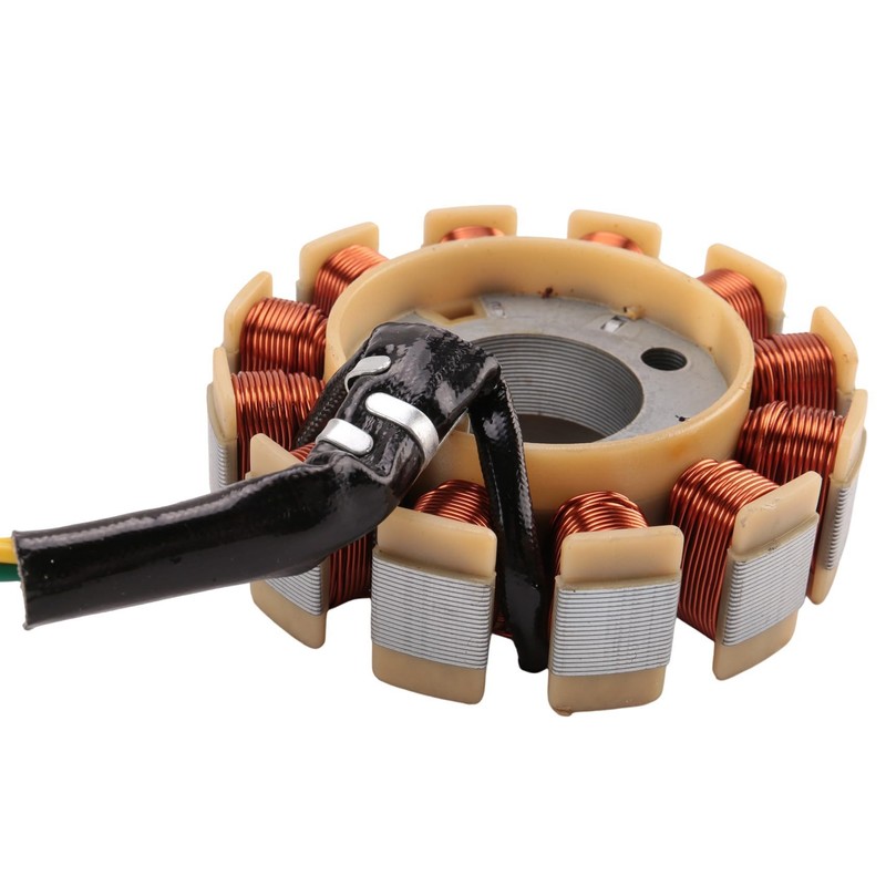 Lyaciomn Coil 12 Pole Stator DC Coil Ignition Stator for