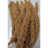 Higgins 12 Count Millet Sprays All Natural Bird Treat for Lovebirds Cockatiels Parakeets