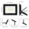 Ceena 2 Pack 60W Plug in LED Flood Light Outdoor,