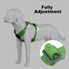 Plutus Pet No Pull Dog Harness, Release at Neck, Soft