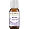 Hyssop Essential Oil 10 ml 100% Pure Undiluted Therapeutic Grade.