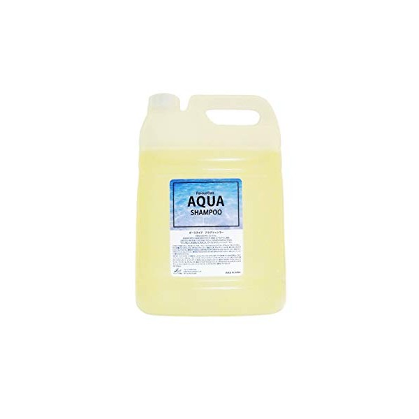 Porous Care Aqua Shampoo (Refill), 1.1 gal (5 L)