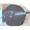 Unbranded Team Mini Pennant "North Carolina Panthers" ~ **Gift Idea
