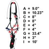 Majestic Ally Poly Braided Patriotic Nose Poly Rope Halter and