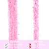 Delivery Within Three Days, 2 Party Feather Pythons, Party Feather