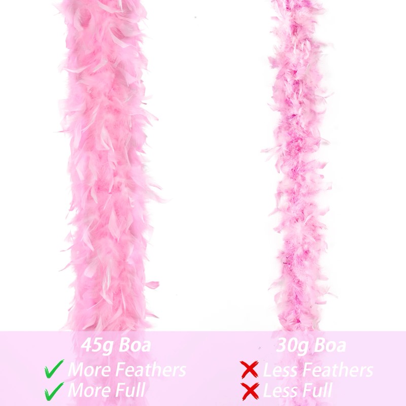 Delivery Within Three Days, 2 Party Feather Pythons, Party Feather