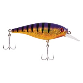 Berkley Flicker Shad Shallow Fishing Lure, Slick Purple Bengal, 2/7 oz, 2 3/4in | 7cm Crankbaits, Size, Profile and Dive Depth Imitates Real Shad, Equipped with Fusion19 Hook