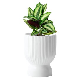 OXART 5.6 Inch Plant Pot, Ceramic Planters for Indoor Plants, Large Indoor Plant Pot with Drainage Holes, Flower Pots, Decorative Pots for Flowers & Herbs, White