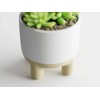 Deco Meet Luma – Modern 3D-Printed Planter with Elevated Base