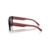 ARNETTE Sunglasses AN 4325 275377 Hamie Black Fifty Red/Dark Gre