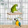 Parrot Swing & Perch Toys for Bird Cages - Hanging