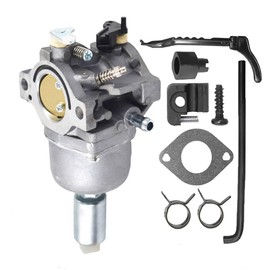 waltyotur Carburetor Replacement for Briggs & Stratton 287707 287776 287777 310707 310777 Motors