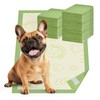 Gardner Pet Pee Pads for Dogs with Adhesive 10 Count,
